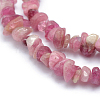 Natural Tourmaline Beads Strands G-P332-70-3